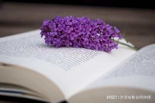 慧仁策略 超出约定金额支付影片制作费，能否要求退还？