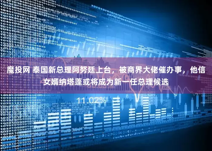 魔投网 泰国新总理阿努廷上台，被商界大佬催办事，他信女婿纳塔蓬或将成为新一任总理候选